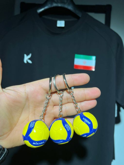 جا سوئیچی توپ والیبال